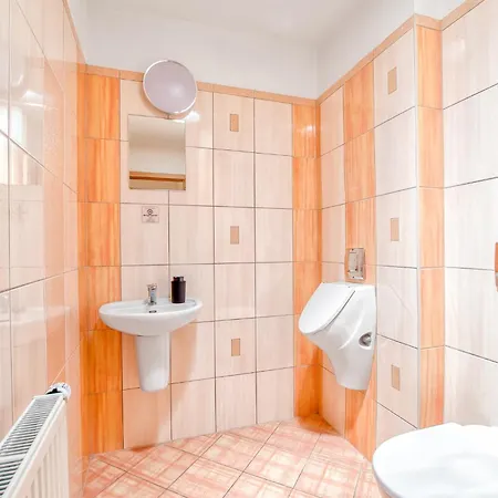 Nerudova Apartment *