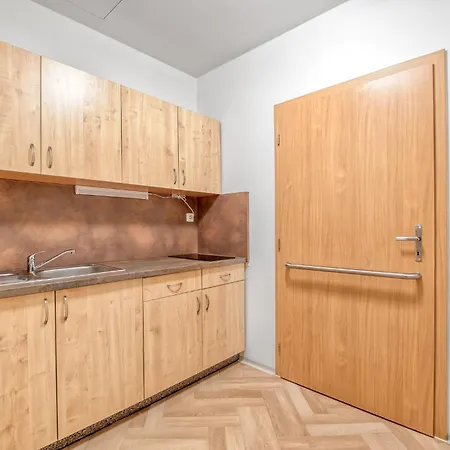 Apartment Nerudova
