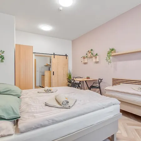 Apartment Nerudova *