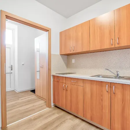 Nerudova Apartment *