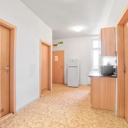 Nerudova Apartment *