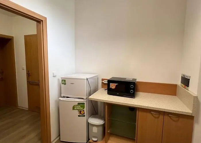 Daire Nerudova Ostrava