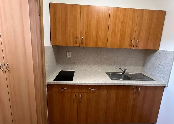 Nerudova Daire Ostrava