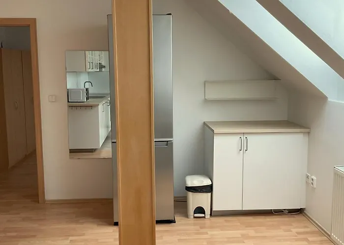 Apartman Nerudova *