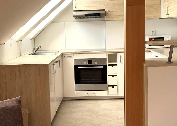 Apartman Nerudova